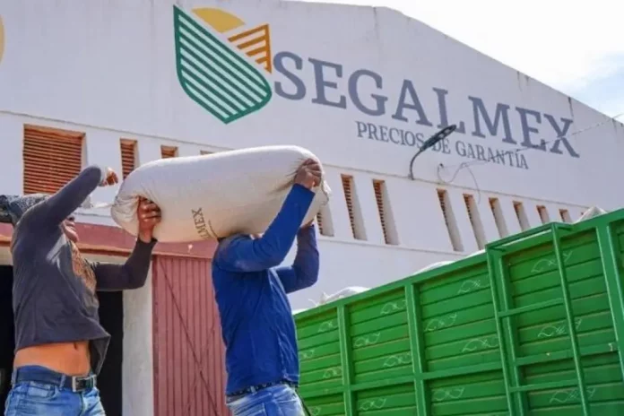 1261323xeu20230309162733