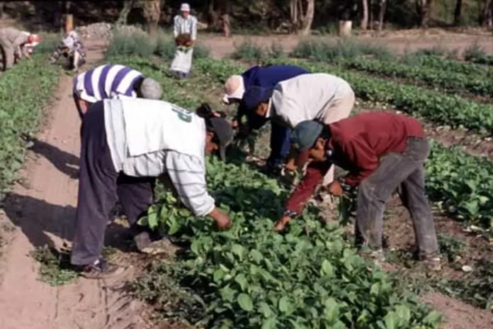 1263067xeu20230321001718