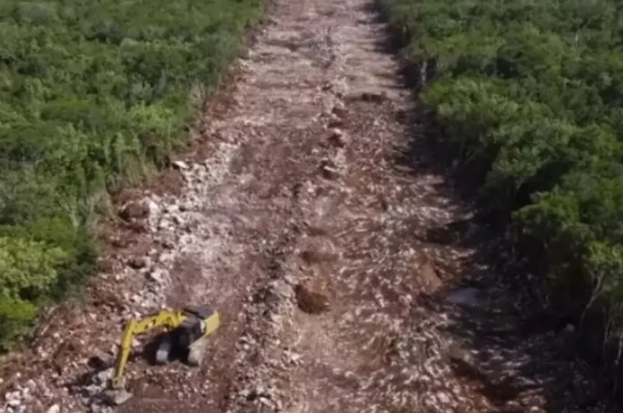 1273717xeu20230529192133