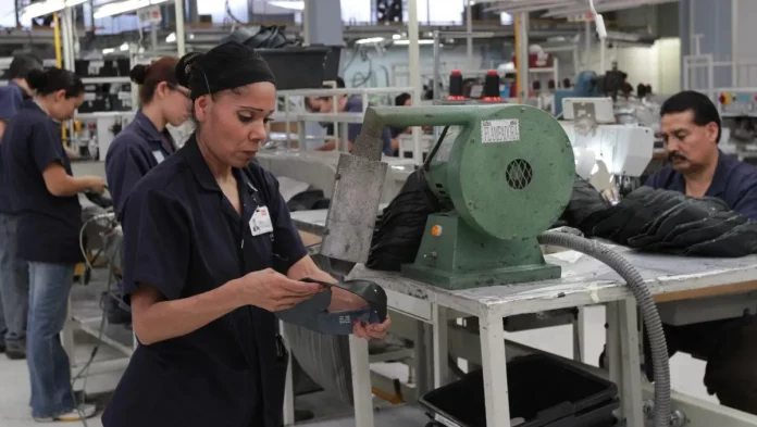 maquiladora-min_crop1673922170601.jpg_552841426