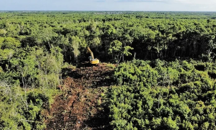 897043_tramo_6_tren_maya-1_.jpg_185051853