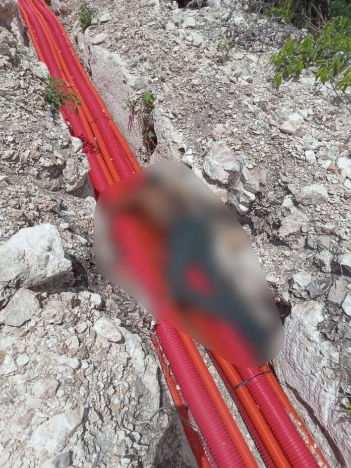 IMG-20230627-WA0291-696x928