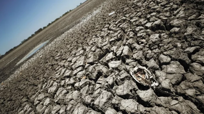 sequia_argentina.jpg_554688468