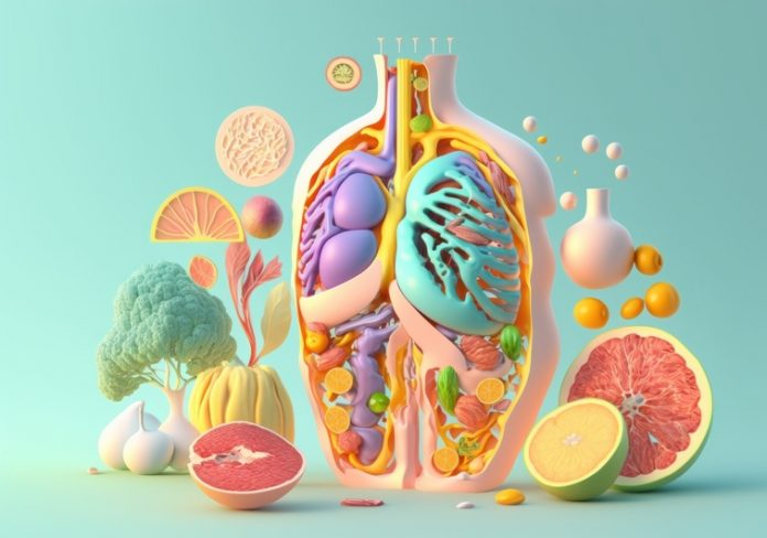 Fruits forming a human body metabolism and nutrition, Eating Die