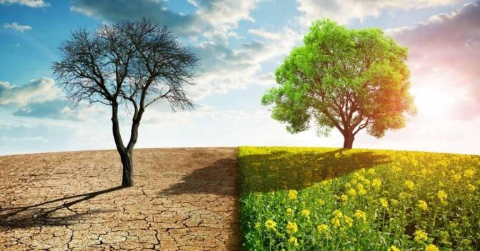 cop26-cambio-climático