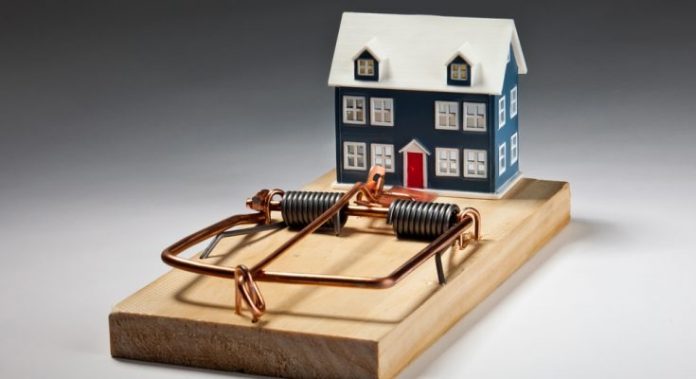 WhatsApp-Image-2023-09-25-at-11.55.03-AM