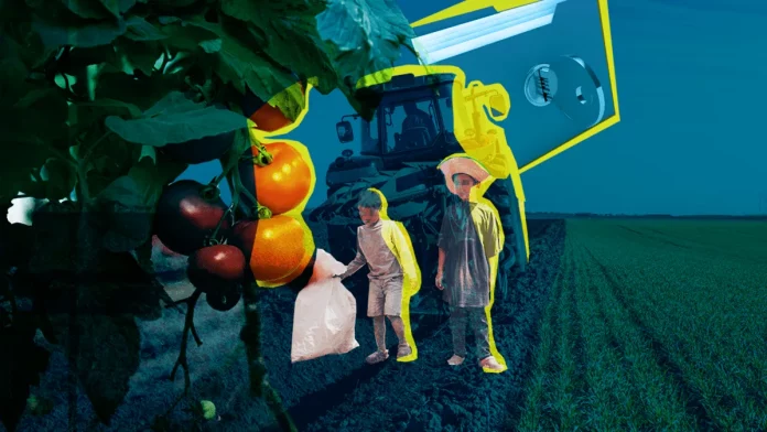 regulacion_trabajo_infantil_tmec_nayelly_tenorio_ilustracion_previsualizacion.png_554688468