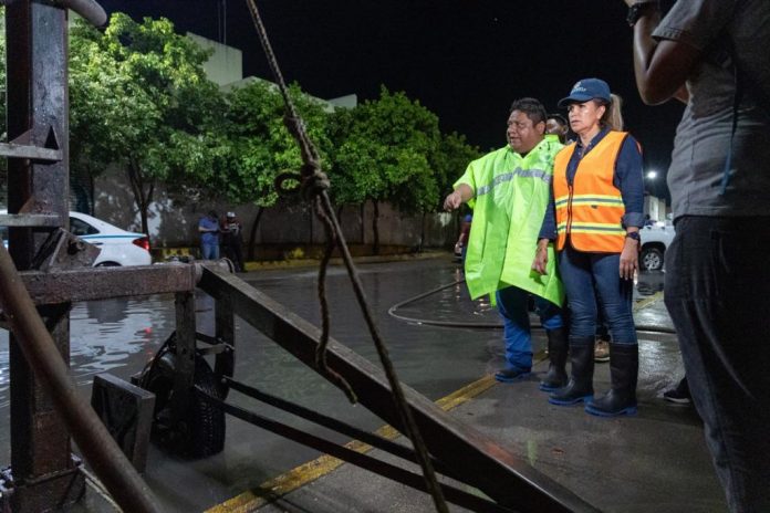 056c3aa3-77d3-4e50-8d0d-68317d926dd8