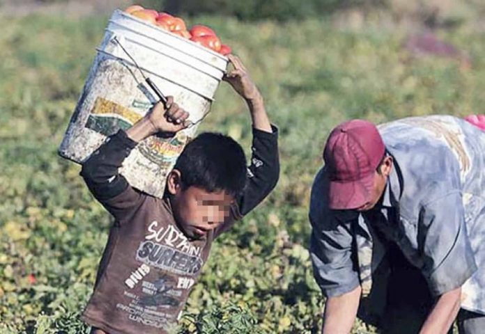 trabajoinfantilmexico