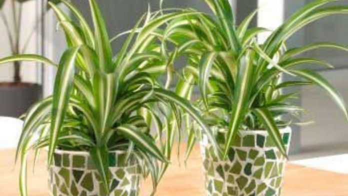 f960x540-862083_936158_0