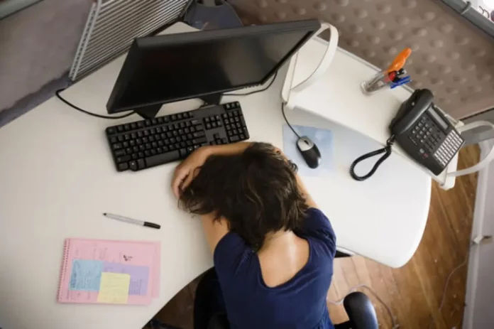 1305477xeu20240104090909