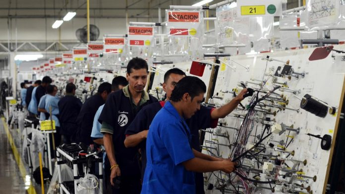 arneses_para_autos_crop1714172641715.jpg_552841426