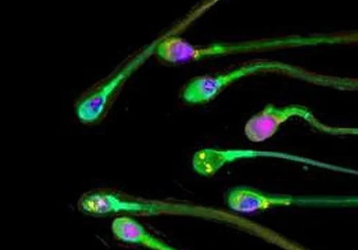 Esperma-Rj97Qnr2qnQw9CkLTRZ6f4K-1200x840@diario_abc