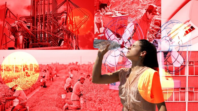 capital_humano_riesgos_trabajo_calor_extremo_nayelly_tenorio_ilustracion.jpg_554688468