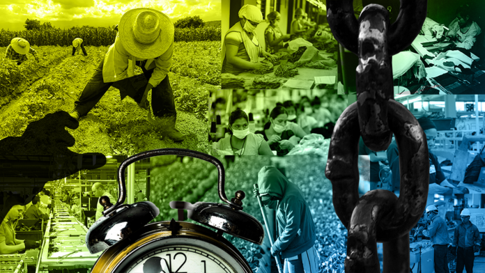 capital_humano_trabajo_forzado_nayelly_tenorio_ilustracion1_1.png_554688468