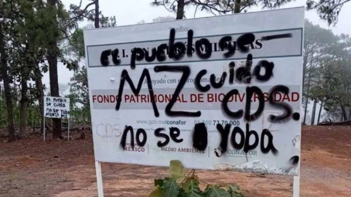 descarga