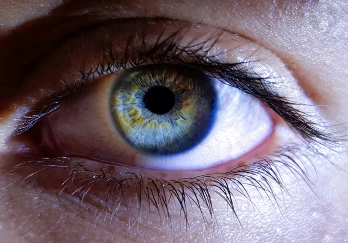 cuidar-ojos-1-RH4y7dSGoMS3x5YafytDJTP-1200x840@diario_abc