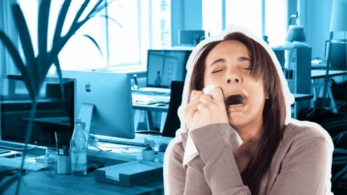 f960x540-1004936_1079011_6548