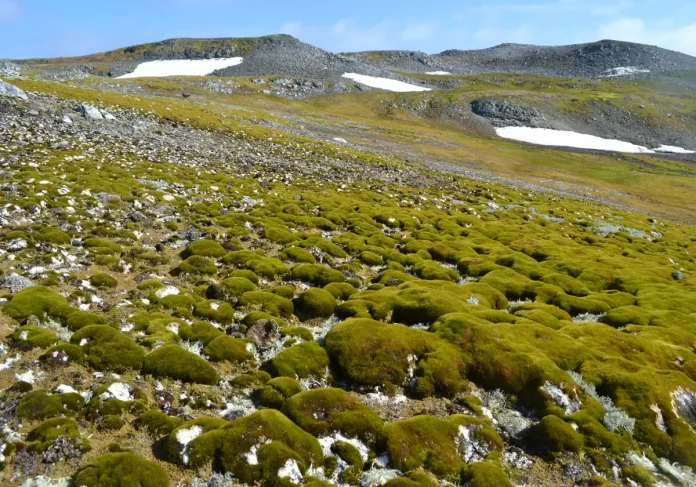 antartida-RcDFaIEJxRZOl5HRWCOU66N-1200x840@diario_abc