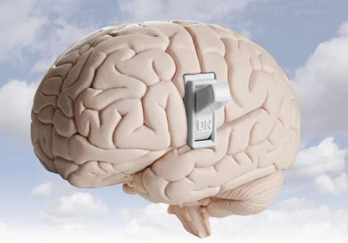 cerebro-U60534978446BLH-RBPmAfKi4w3rKiUjL1ZntPI-1200x840@diario_abc