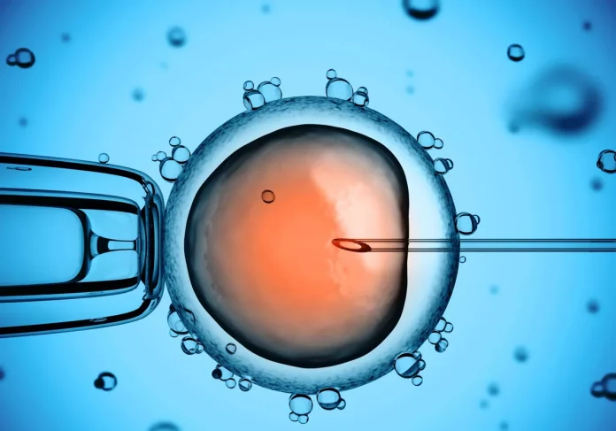 fecundacion-vitro-R1r36jV2Mx6dCXGBy72rAsL-1200x840@diario_abc