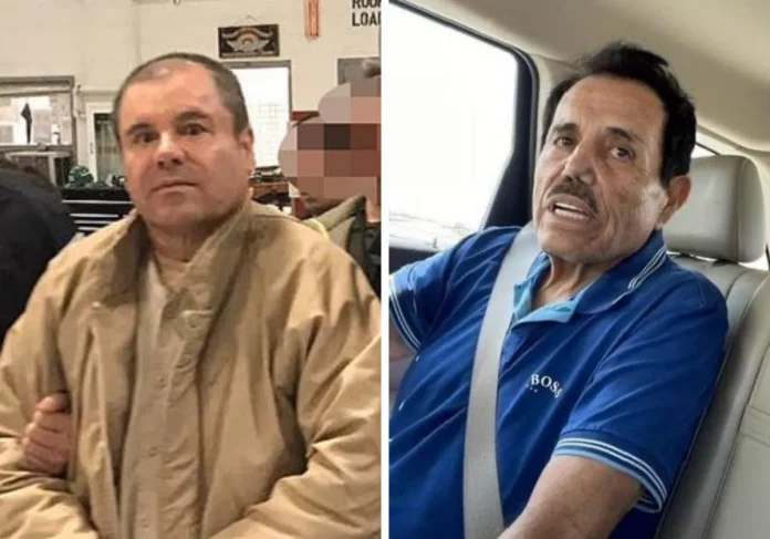 chapo2-RJ79JJhKGLKHt0BqJjFMS0J-1200x840@diario_abc