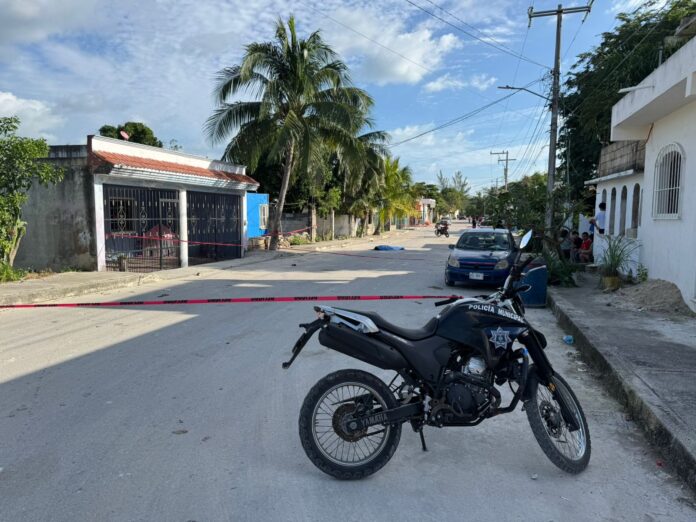 IMG-20250102-WA0015-696x522