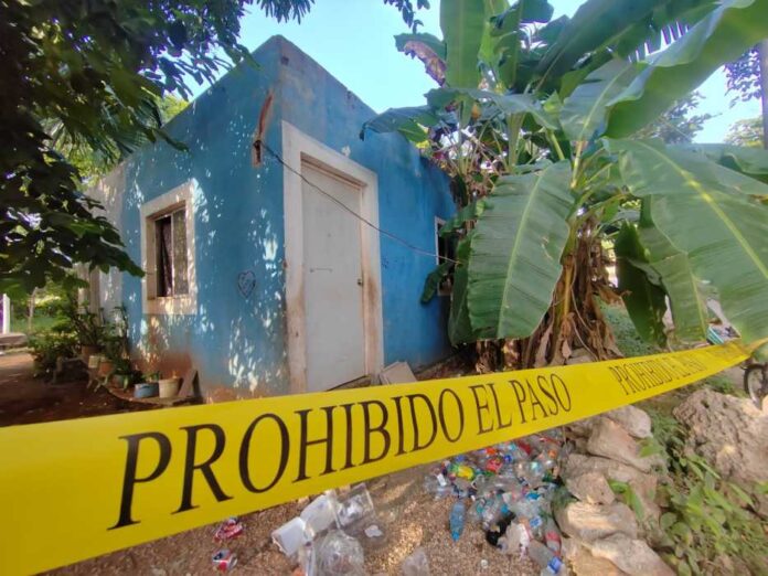 IMG-20250114-WA0116-696x522