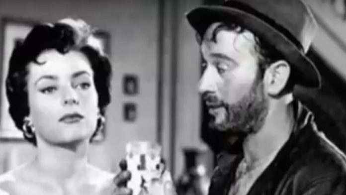 f848x477-1069025_1126828_2048