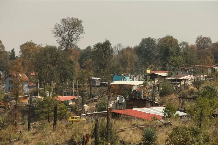 asentamientos-irregulares-invaden-2-mil-500-hectareas-de-zonas-verdes_181d0b47-b9bd-4a73-b861-676f73e36bc3_medialjnimgndimage=fullsize