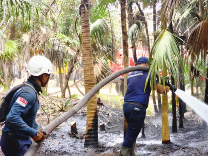 IMG-20250409-WA0055-696x522