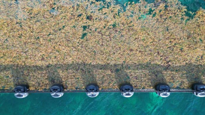 Imagen-de-WhatsApp-2025-04-18-a-las-11.28.18_f2918f66-696x392