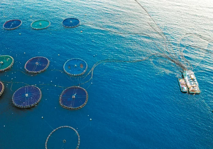 acuicultura-RHi4AEQB569X2Gy0bYRuigN-1200x840@diario_abc