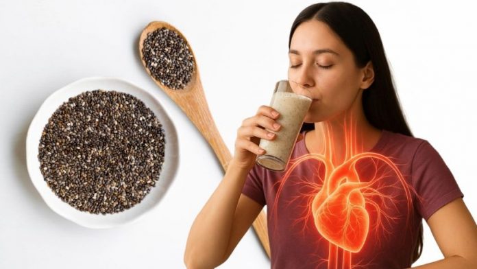 f848x477-1119393_1177196_6825