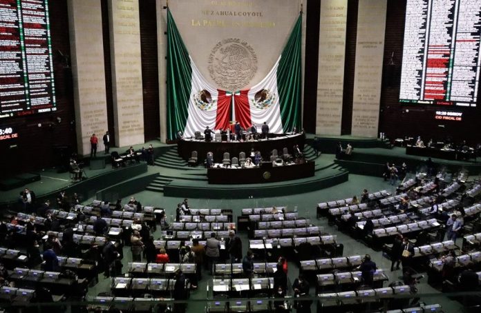 legisladores-de-morena-ariana-perez