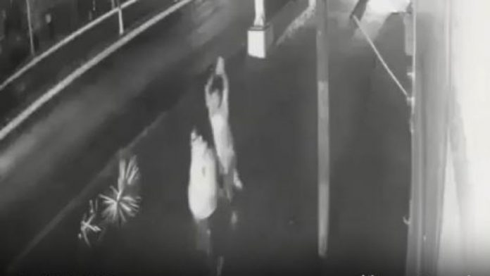 f848x477-1120046_1177849_4148