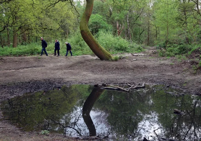 la-union-europea-establece-lista-de-paises-en-riesgo-de-desforestacion_628339f7-39aa-496b-a88c-47be2f14a52a_medialjnimgndimage=fullsize