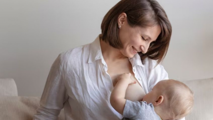 f848x477-1165786_1223589_5050