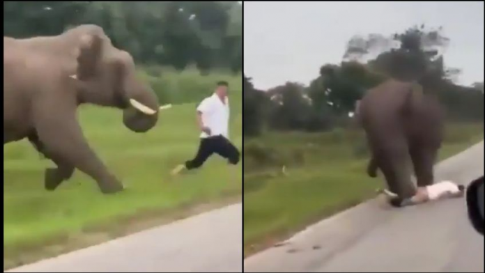 f848x477-1168840_1226643_5050