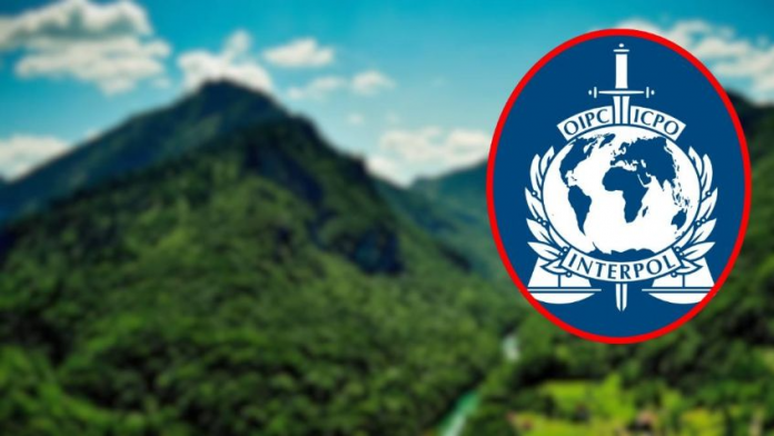 f848x477-1171642_1229445_5050