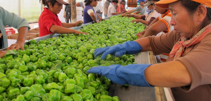 newspack-yucatan.s3.amazonaws