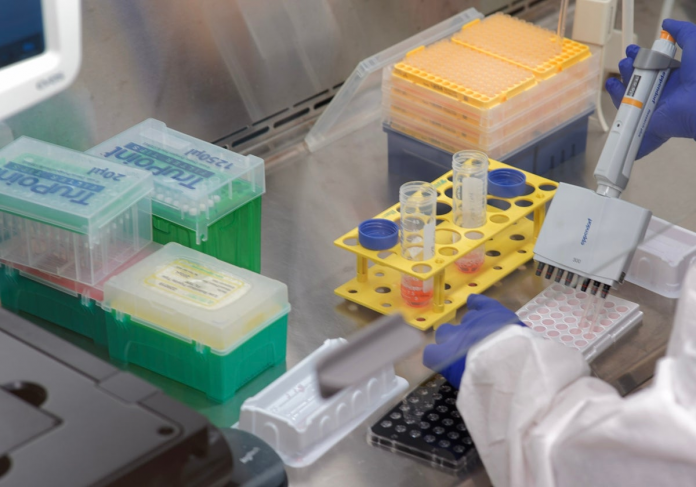 DSC01354-1-RtJ27GKpQm3Lt2xwPcPVxBJ-1200x840@diario_abc