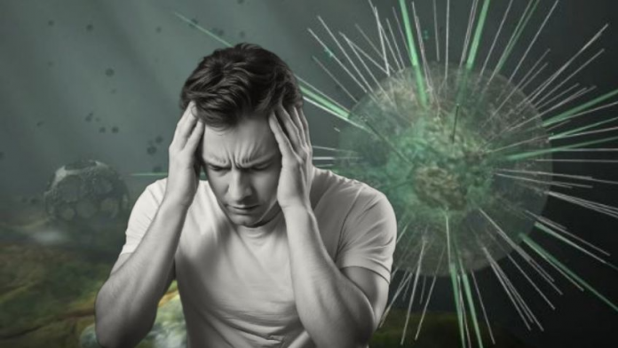 f848x477-1183487_1241290_5050