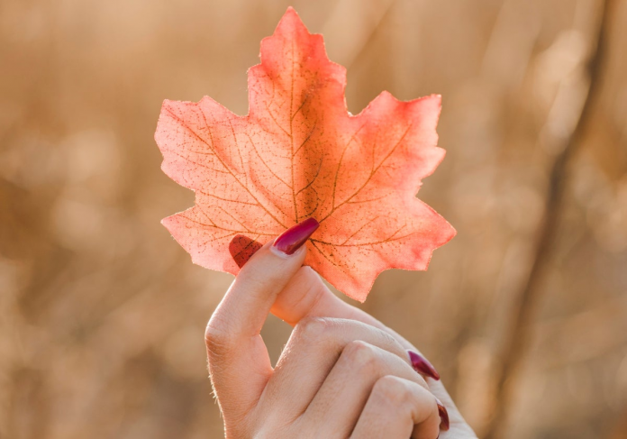 meditacion-otono-RsNC9TssX7vUE0Ij7Z4HrZM-1200x840@diario_abc