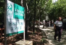 El Ombligo Verde ‘no se toca’; destacan su importancia histórica en Cancún