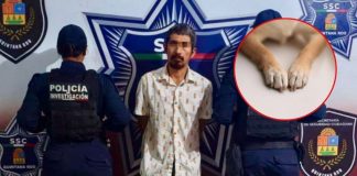 Hombre asesinó a un perro frente a sus hijos en Cancún, ya fue detenido