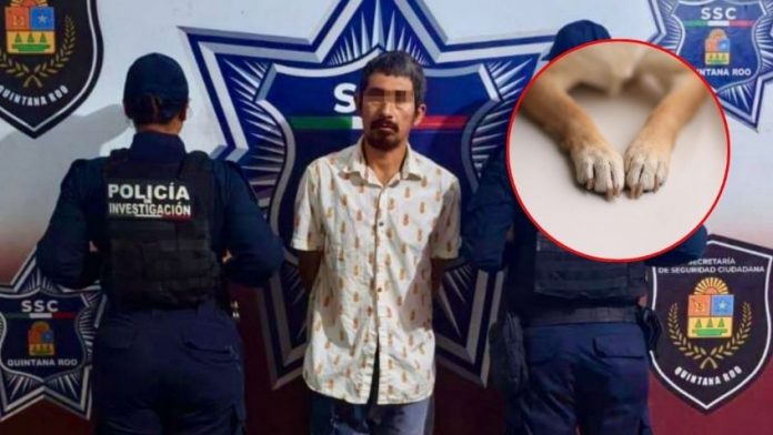 f848x477-1202305_1260108_5050