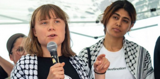 Activistas acusan a Israel de tortura: los metieron a jaulas sin agua ni medicamentos