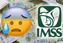 El IMSS y el reto de pensionarse