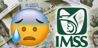 El IMSS y el reto de pensionarse